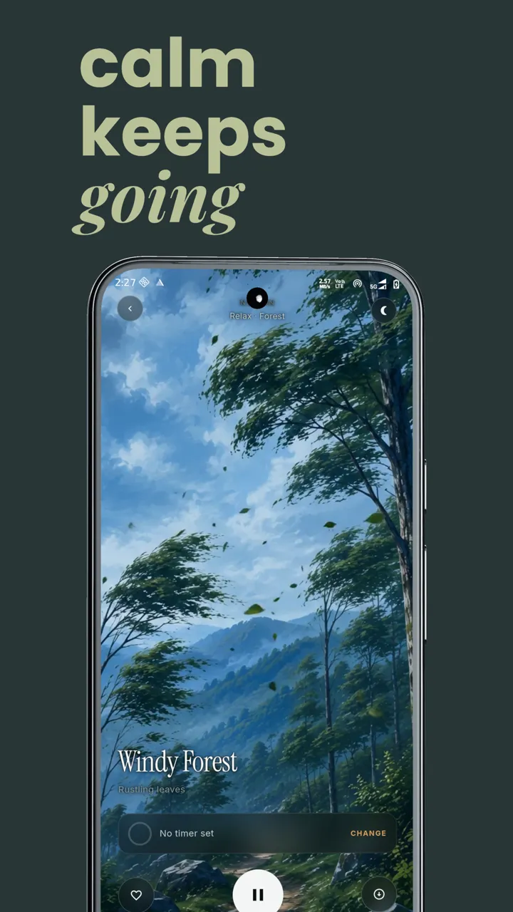 Calm keeps going: Windy Forest playing.